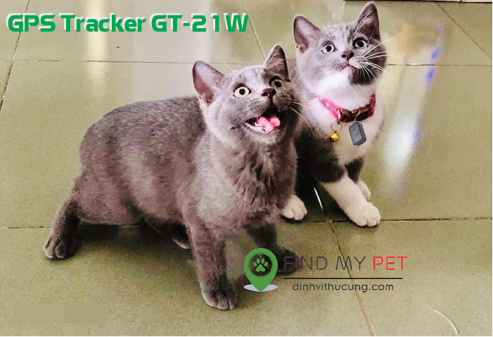 gps_tracker_gf-21w-cat