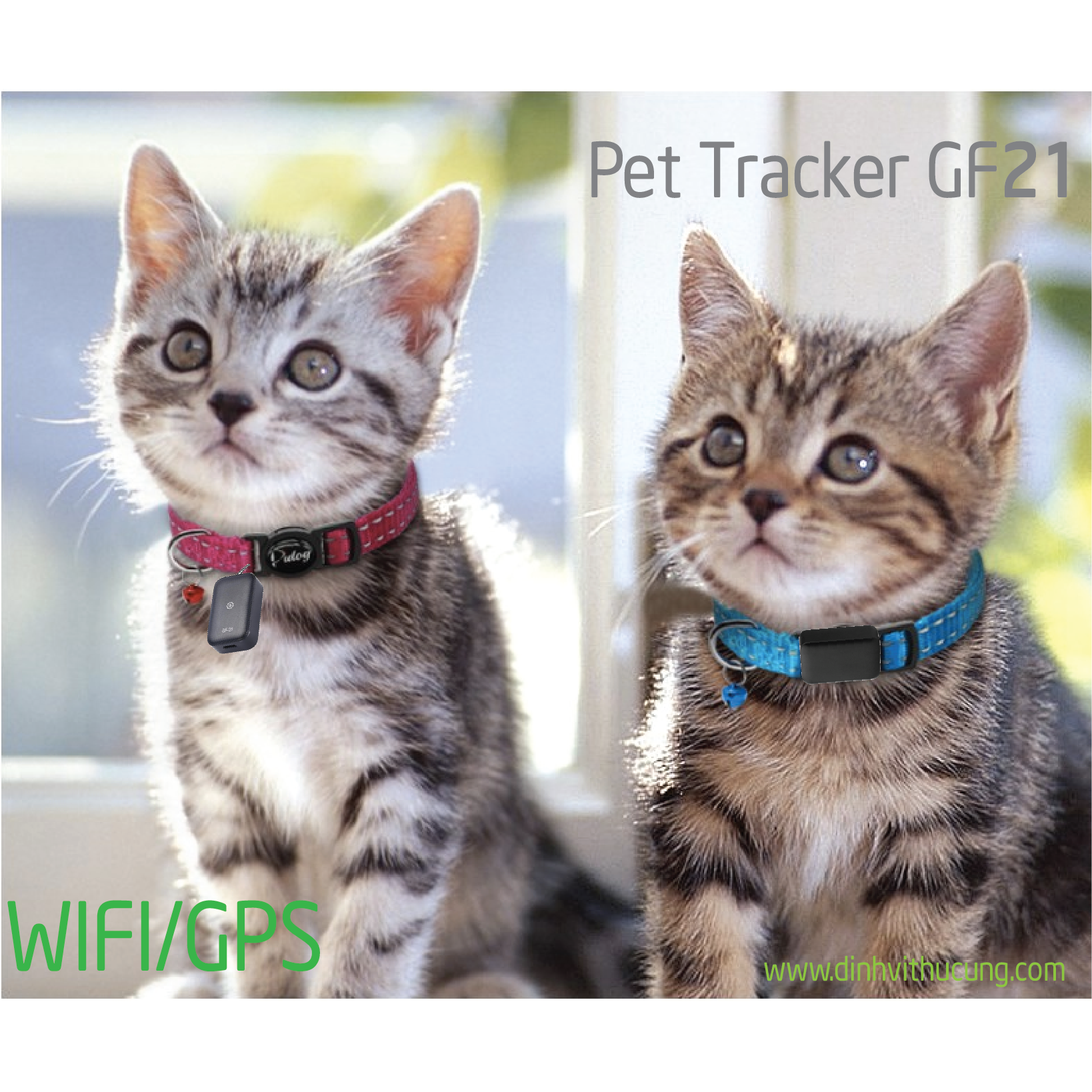 pet_tracker_gf21wifi