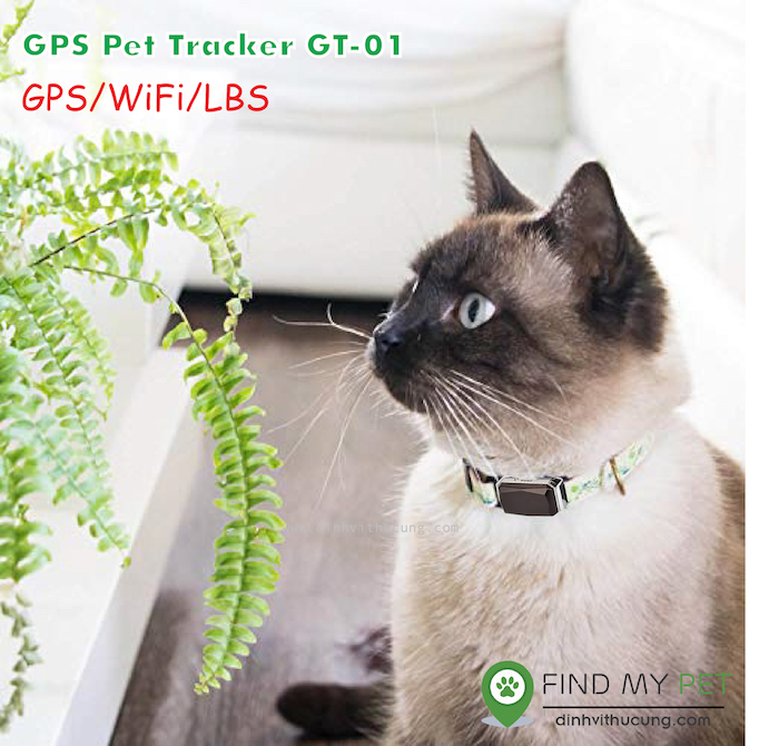 vong_inh_vi_cho_meo_gps_pet_tracker_gt-01
