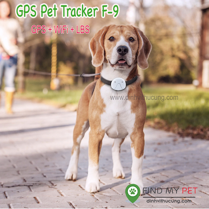 GPS Pet Tracker F9 - Vòng đeo cổ định vị GPS cho thú cưng, chống nước IP67, sử dụng App trên iOS & Android