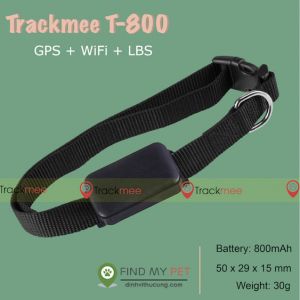 Vòng cổ thông minh định vị Thú Cưng: Trackmee T-800 (GPS/ WIFI/LBS/ IP66)