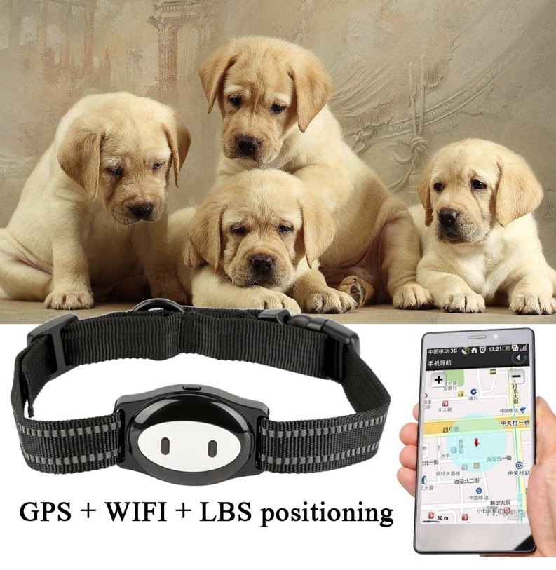 GPS Pet Tracker S01/ D79 - Vòng đeo cổ định vị GPS cho thú cưng Chó-Mèo, chống nước IP67