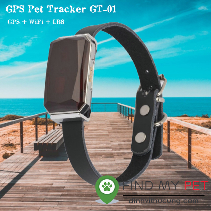vong_deo_co_dinh_vi_cho_meo_gps_pet_trackergt-01_4