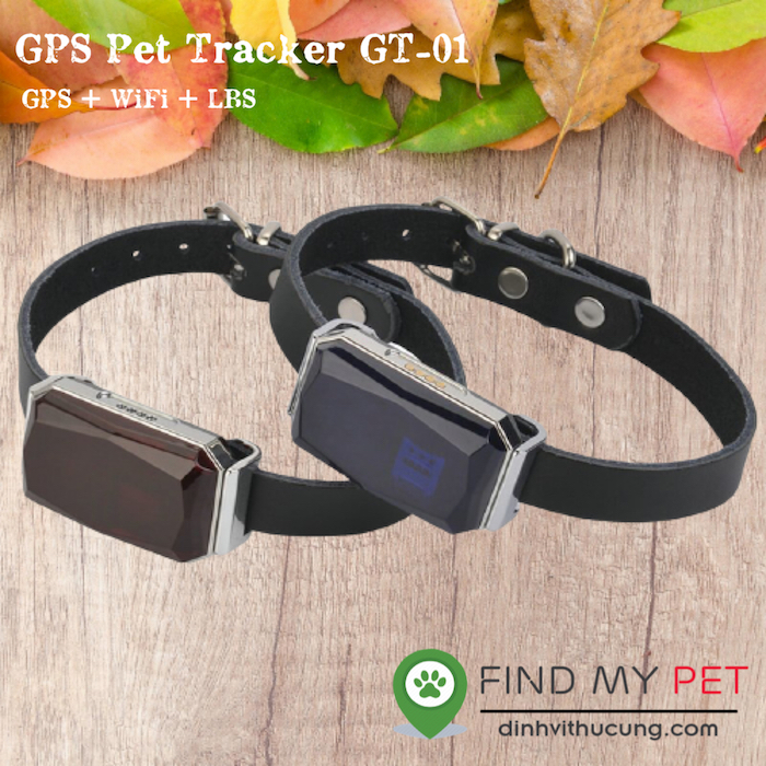 vong_deo_co_dinh_vi_cho_meo_gps_pet_trackergt-01_6